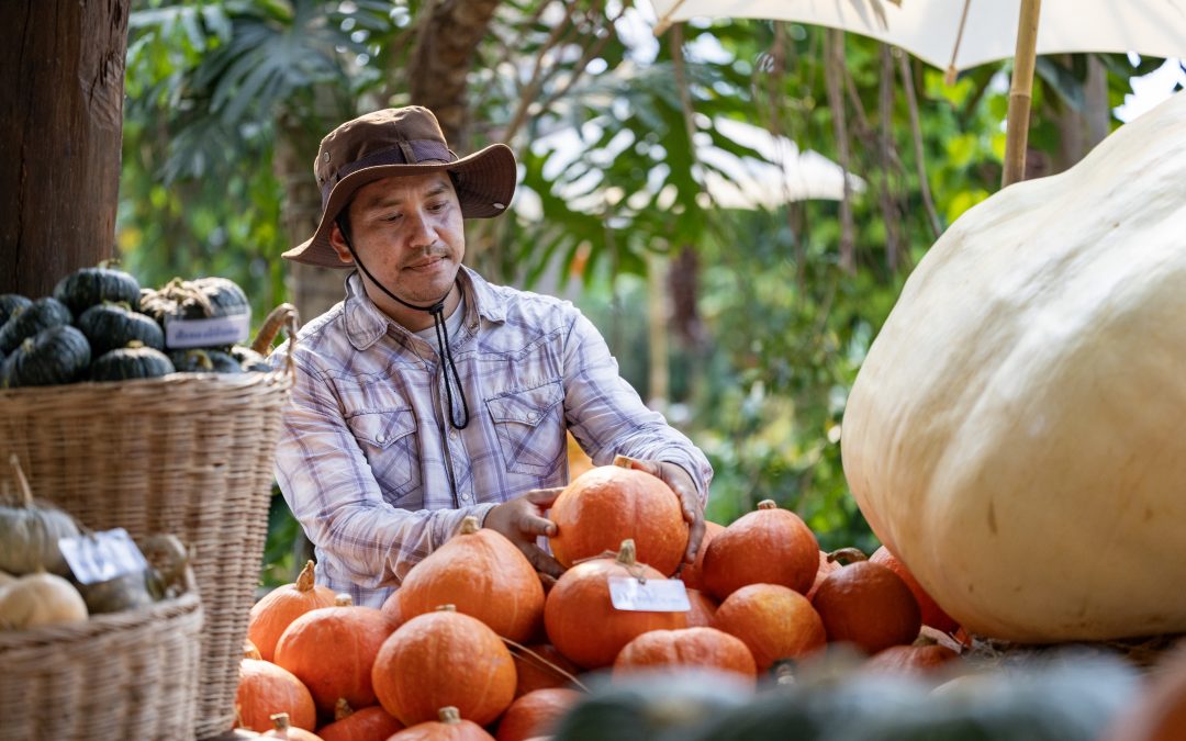 Example News Article